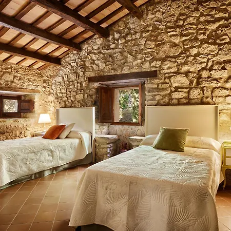 Сasa de vacaciones Mas Noguer Gerona